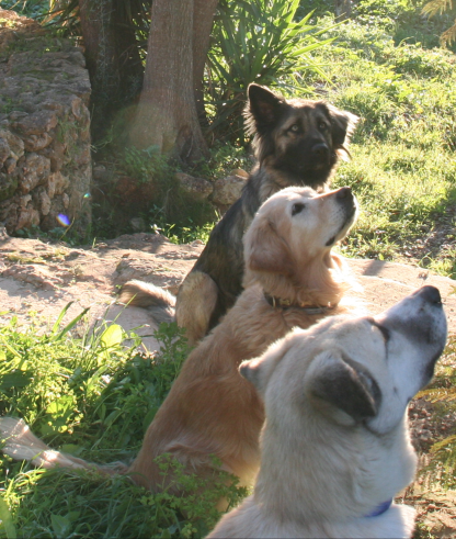 Screen Shot 2015-01-04 at 12.44.39